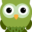 cropped owl 3